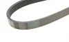 Ремень генератора Audi 100/A6 4.2 V8 92-97/A8 3.3TDI 00-02 (6PK2615) BOSCH 1 987 948 366 (фото 4)