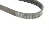 Ремень генератора Audi 100/A6 4.2 V8 92-97/A8 3.3TDI 00-02 (6PK2615) BOSCH 1 987 948 366 (фото 6)