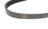 Ремень генератора VW Caddy IV/Golf VII 1.0-1.2TSI/1.4TSI 15- (-AC) (6PK745) BOSCH 1 987 948 378 (фото 2)