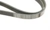 Ремінь генератора VW Golf V/VI/Passat VI/VII/Skoda Fabia 1.4TSI/FSI/1.6 FSI 97- (6PK1090) BOSCH 1 987 948 381 (фото 5)