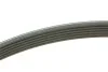 Ремінь генератора VW Golf V/VI/Passat VI/VII/Skoda Fabia 1.4TSI/FSI/1.6 FSI 97- (6PK1090) BOSCH 1 987 948 381 (фото 8)