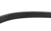 Ремень генератора Peugeot Expert/Citroen Jumpy 2.0HDi 07-/Ford Focus/Kuga 2.0TDCi 04-12 (6PK1215) BOSCH 1 987 948 391 (фото 4)