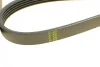 Ремінь генератора BMW 5 (E39)/7 (E38) 2.5TDS 96-04/Kia Cerato/Rio/Hyundai Accent 1.5/1.6CRDI 05- BOSCH 1 987 948 396 (фото 7)