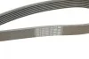 Ремень генератора Iveco Daily III/IV/VI 2.3 JTD 02- (7PK1325) BOSCH 1 987 948 397 (фото 7)