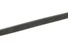 Ремінь генератора Fiat Tempra 1.9TD 90-96 (5PK900) BOSCH 1 987 948 398 (фото 6)