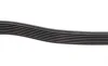 Ремень генератора Ford Transit 2.4 DI-2.4TDCI 00-06 (7PK2875) BOSCH 1 987 948 401 (фото 4)