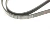 Ремінь генератора Opel Movano/Renault Master 2.5D/2.8DTI 98-01/Megane/Laguna 1.4-1.6 03-08 (5PK1195) BOSCH 1 987 948 413 (фото 5)