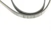 Ремінь генератора Opel Movano/Renault Master 2.5D/2.8DTI 98-01/Megane/Laguna 1.4-1.6 03-08 (5PK1195) BOSCH 1 987 948 413 (фото 6)