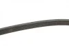 Ремінь генератора Opel Movano/Renault Master 2.5D/2.8DTI 98-01/Megane/Laguna 1.4-1.6 03-08 (5PK1195) BOSCH 1 987 948 413 (фото 8)