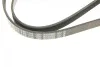 Ремінь генератора Opel Movano/Renault Master 2.5D/2.8DTI 98-01/Megane/Laguna 1.4-1.6 03-08 (5PK1195) BOSCH 1 987 948 413 (фото 9)