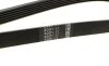 Ремінь генератора Ford Focus 1.8 TDCi 05-12/Skoda Octavia 1.4 i 99-01 (6PK1520) BOSCH 1 987 948 425 (фото 2)