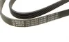 Ремінь генератора Ford Focus 1.8 TDCi 05-12/Skoda Octavia 1.4 i 99-01 (6PK1520) BOSCH 1 987 948 425 (фото 3)
