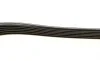 Ремінь генератора Ford Focus 1.8 TDCi 05-12/Skoda Octavia 1.4 i 99-01 (6PK1520) BOSCH 1 987 948 425 (фото 4)