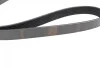 Ремінь генератора Renault Kangoo/Logan/Scenic/Talisman 1.4/1.5 dCi/1.6 03-/Mazda 3/CX-3 1.5/1.8D 15- BOSCH 1 987 948 435 (фото 7)