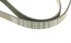 Ремінь генератора VW Golf/Caddy 1.4 04-10/Renault Espace 3.5 02-/Audi A4/A6 2.0TFSI 08-15 (6PK1100) BOSCH 1 987 948 437 (фото 3)