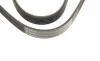 Ремень генератора Renault Kangoo 1.5 dCi 03- (6PK1130) BOSCH 1 987 948 440 (фото 3)