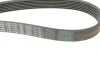 Ремень генератора Honda CR-V 2.0 01-06 (7PK1730) BOSCH 1 987 948 442 (фото 4)