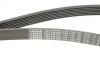 Ремень генератора Honda CR-V 2.0 01-06 (7PK1730) BOSCH 1 987 948 442 (фото 5)