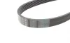 Ремінь генератора Jeep Wrangler 4.0 98-07/Toyota Avensis 1.6/1.8 00-03/Subaru Forester 13- (6PK1910) BOSCH 1 987 948 451 (фото 3)