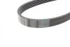 Ремінь генератора Jeep Wrangler 4.0 98-07/Toyota Avensis 1.6/1.8 00-03/Subaru Forester 13- (6PK1910) BOSCH 1 987 948 451 (фото 8)