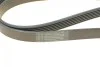 Ремень генератора Opel Astra J/Corsa D 1.7CDTI 09-15/Ford Focus 1.8TDCi 98-04 (6PK1715) BOSCH 1 987 948 453 (фото 8)
