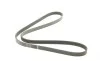 Ремень генератора Opel Astra G/H 1.6/1.8 04-12 (5PK1450) BOSCH 1 987 948 480 (фото 2)