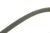 Ремень генератора Opel Astra G/H 1.6/1.8 04-12 (5PK1450) BOSCH 1 987 948 480 (фото 3)