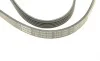 Ремень генератора Opel Astra G/H 1.6/1.8 04-12 (5PK1450) BOSCH 1 987 948 480 (фото 5)
