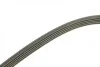 Ремень генератора Opel Astra G/H 1.6/1.8 04-12 (5PK1450) BOSCH 1 987 948 480 (фото 7)
