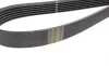 Ремінь генератора Opel Astra/Combo 1.7CDI 04-11/Ford Fiesta/Scorpio 1.6/2.0 91-95 (6PK1275) BOSCH 1 987 948 481 (фото 6)