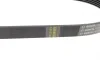 Ремінь генератора VW Polo/Skoda Fabia 1.4/1.9TDI 05-/Nissan Almera/Primera 1.5-1.8 00-08 (6PK820) BOSCH 1 987 948 483 (фото 6)