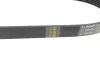 Ремінь генератора VW Polo/Skoda Fabia 1.4/1.9TDI 05-/Nissan Almera/Primera 1.5-1.8 00-08 (6PK820) BOSCH 1 987 948 483 (фото 7)