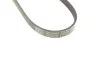 Ремень генератора Citroen Berlingo/Jumpy/Fiat Scudo 1.9D 98-11/Peugeot Partner 96-15 (6PK869) BOSCH 1 987 948 484 (фото 6)