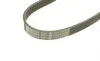 Ремень генератора Peugeot Partner/307/508 02-/Citroen Berlingo/C2/C3/C4/C5 1.6 HDi 04- (6PK976) BOSCH 1 987 948 486 (фото 3)