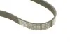 Ремень генератора Peugeot Partner/307/508 02-/Citroen Berlingo/C2/C3/C4/C5 1.6 HDi 04- (6PK976) BOSCH 1 987 948 486 (фото 4)