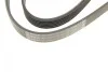 Ремень генератора Audi 100/A6 2.3 90-97/Seat Toledo 2.3 V5 98-00 (6PK1293) BOSCH 1 987 948 487 (фото 8)