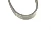 Ремінь генератора Smart Fortwo 0.8CDI 04- (5PK768) BOSCH 1 987 948 489 (фото 6)