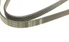 Ремінь генератора VW Passat B5/Audi A4/A6 1.9TDI 98-05/Skoda Superb 1.9/2.0TDI 01-08 (5PK1432) BOSCH 1 987 948 491 (фото 3)