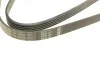 Ремінь генератора VW Passat B5/Audi A4/A6 1.9TDI 98-05/Skoda Superb 1.9/2.0TDI 01-08 (5PK1432) BOSCH 1 987 948 491 (фото 7)