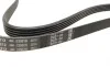 Ремінь генератора поліклиновий Opel Combo/Astra G 1.4-1.8 98-10/Kia Ceed/Rio 1.2/1.4 14-/Hyundai i20/i30 1.4 14- BOSCH 1 987 948 494 (фото 3)