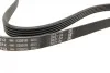 Ремінь генератора поліклиновий Opel Combo/Astra G 1.4-1.8 98-10/Kia Ceed/Rio 1.2/1.4 14-/Hyundai i20/i30 1.4 14- BOSCH 1 987 948 494 (фото 9)