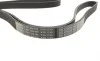 Ремінь генератора поліклиновий Peugeot 206/406/806/Expert/Fiat Scudo/Citroen C5/C8/Jumpy 1.9D/2.0HDI 95- BOSCH 1 987 948 496 (фото 4)