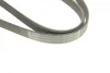 Ремінь генератора Mitsubishi L200 2.5DI-D 05-15 (6PK1496) BOSCH 1 987 948 497 (фото 8)