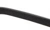Ремінь генератора Ford Transit 2.4 TDCi 06- (7PK2842) BOSCH 1 987 948 499 (фото 2)