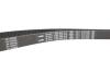 Комплект ГРМ Fiat Stilo 1.9 JTD 03-06 (198x24) BOSCH 1987948942 (фото 10)