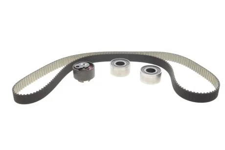 Комплект ГРМ Jaguar XF I/XJ/S-Type II 2.7D/3.0D 04- (195x30) BOSCH 1987948949