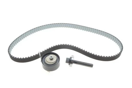 Комплект ГРМ Ford Mondeo/C-Max/Focus/Kuga/Transit Connect 1.5/1.6 EcoBoost 10- (22x117z) BOSCH 1 987 948 967
