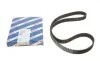 Ремінь ГРМ Fiat Bravo/Punto/Stilo 1.8 GT 95-12/Alfa Romeo 156/166/Spider 1.8/2.0 97-06 (24x168z) BOSCH 1 987 949 408 (фото 1)