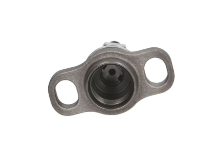Плунжерна пара BOSCH 2418455196