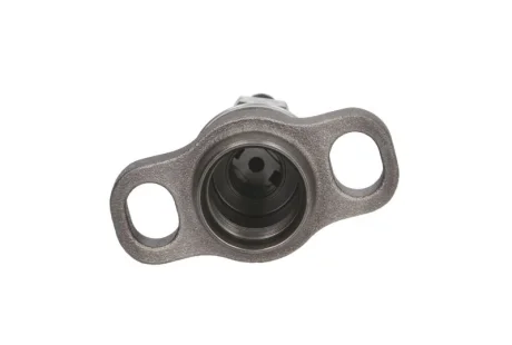 Плунжерна пара BOSCH 2418455196